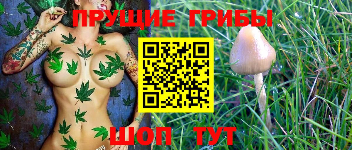 Псилоцибиновые грибы Cubensis Лыткарино