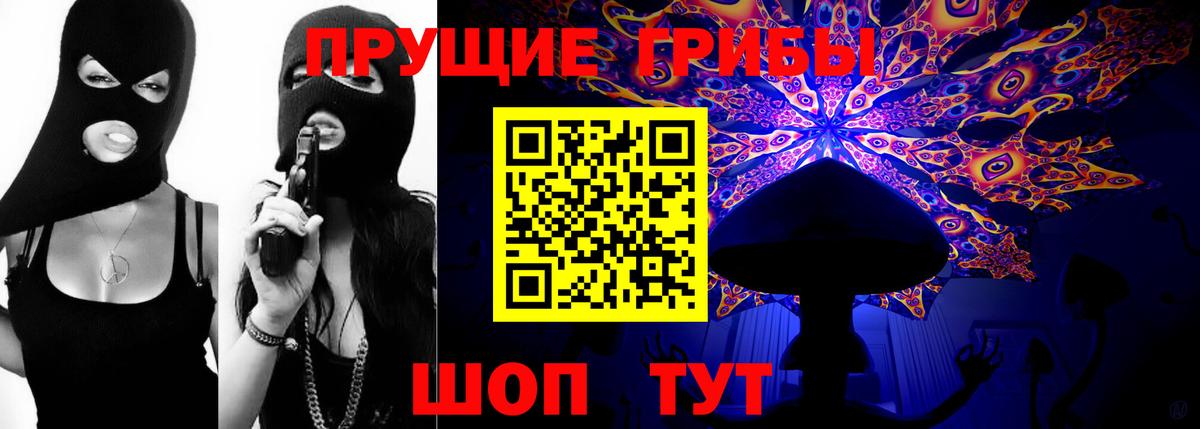 Лыткарино  как найти закладки  Вход с VPN  Псилоцибиновые грибы GOLDEN TEACHER 